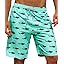 Men's Swim Trunks 9" Quick Dry Bathing Suit Big & Tall Beach Swimsuits